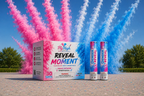 Gender Reveal Party Pack Bundle